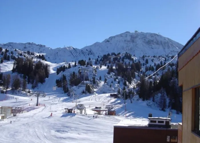 Au Pied Des Pistes Avec Wifi, Vue Sur Mont Blanc - Fr-1-455-61 * 拉普拉涅